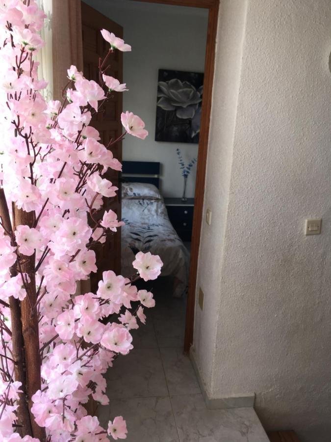 Casa Phoenix Bed & Breakfast Bed and Breakfast La Mariña Buitenkant foto