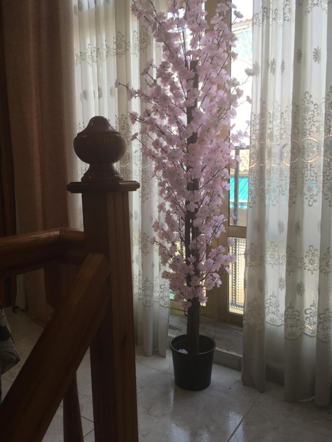 Casa Phoenix Bed & Breakfast Bed and Breakfast La Mariña Buitenkant foto
